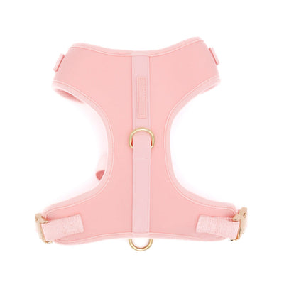 The Ultimate Walk Set - Rose