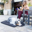 Lay All Day Travel Dog Mat