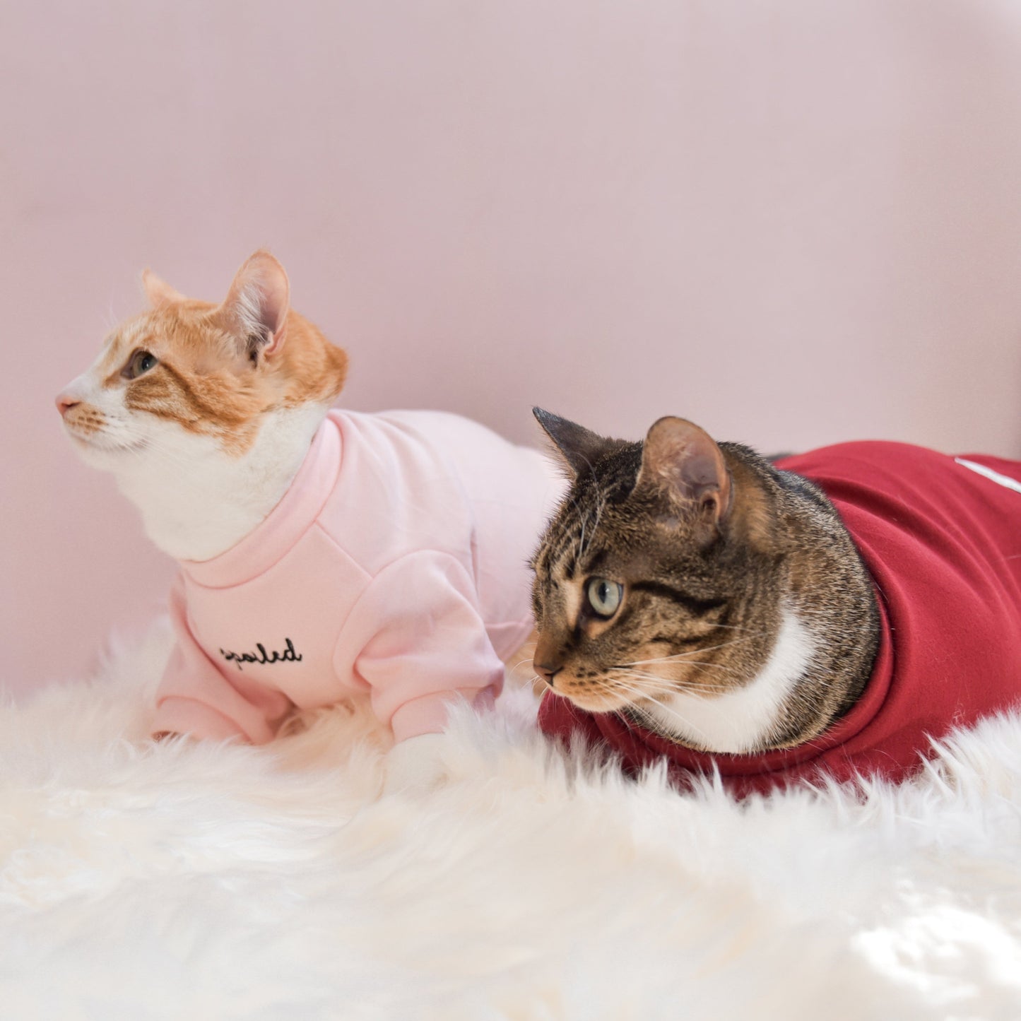 Fur Elise Spoiled Mock Neck Shirt - Lucky