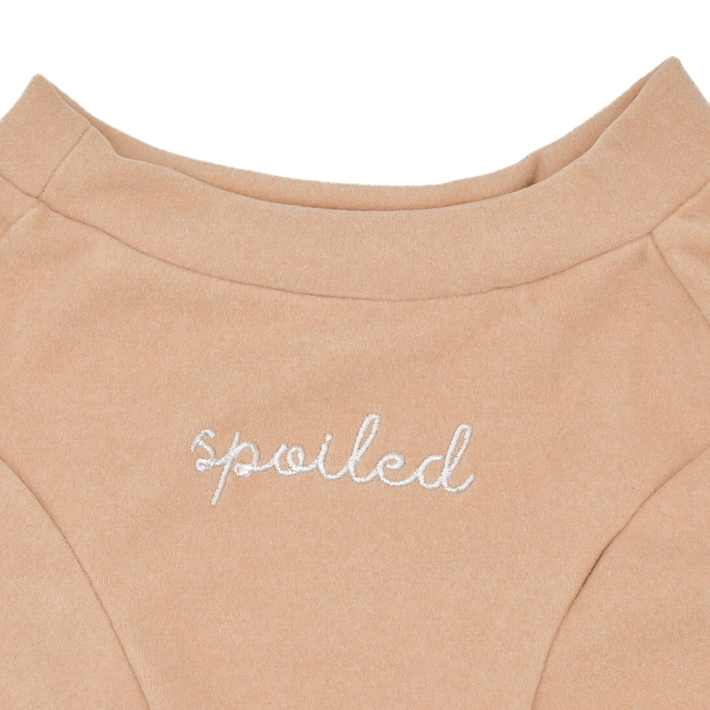 Fur Elise Spoiled Mock Neck Shirt - Latte