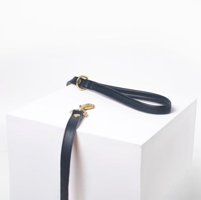 Midnight Leash
