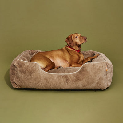 The Sammy Bolster Dog Bed