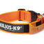Julius-K9 Color & Gray® Collar with Handle, Safety Lock and Interchangeable Patch
