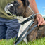 Celtic Sport Leather Dog Leash