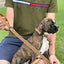 Celtic Sport Leather Dog Leash