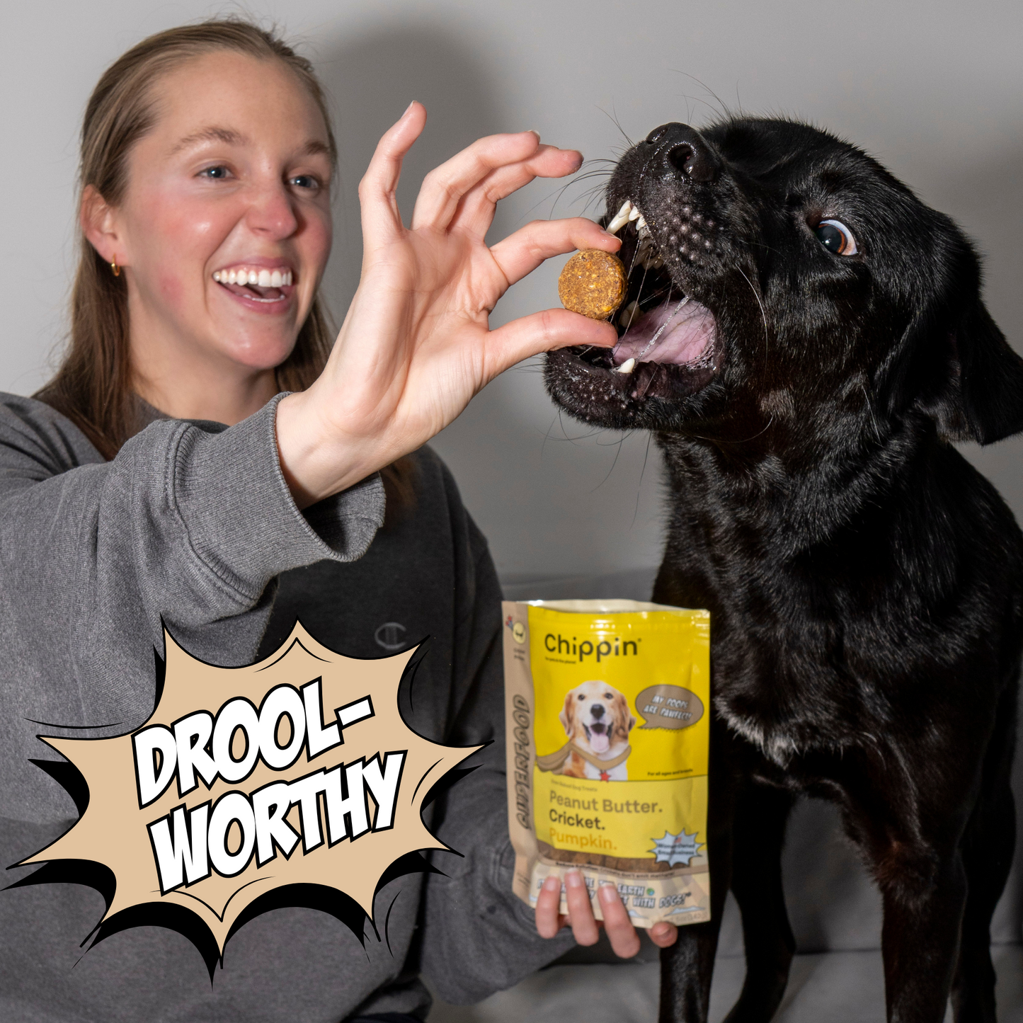 Gut Healthy Dog Treat Variety Bundle