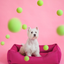 Chester & Lee | Cotton Sleeper Dog Bed Berry Pink
