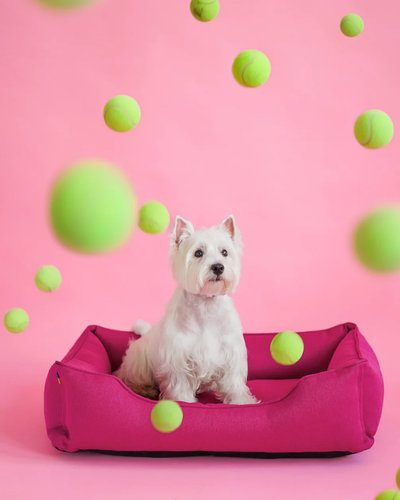 Chester & Lee | Cotton Sleeper Dog Bed Berry Pink