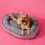 Chester & Lee | Furry Bagel Dog Bed