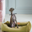 Chester & Lee | Vibrant Velvet Sleeper Dog Bed Olive