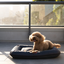 Chester & Lee | Waterproof Lounger Dog Bed Gray