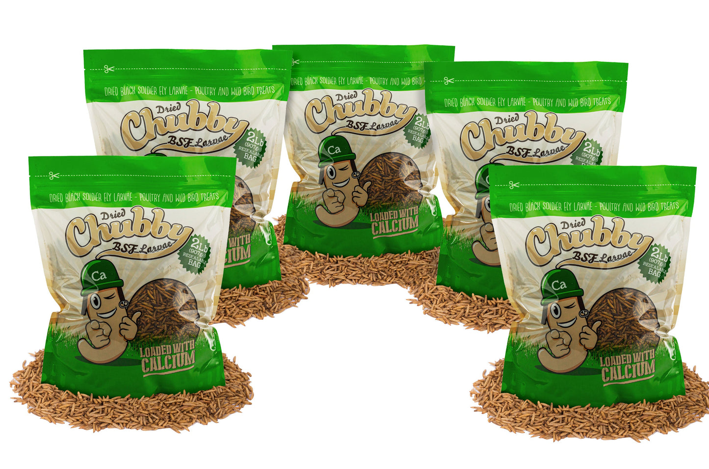 10LB Chubby Dried Black Soldier Fly Larvae