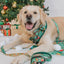 Dog Leash - Elf™