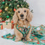 Dog Leash - Elf™