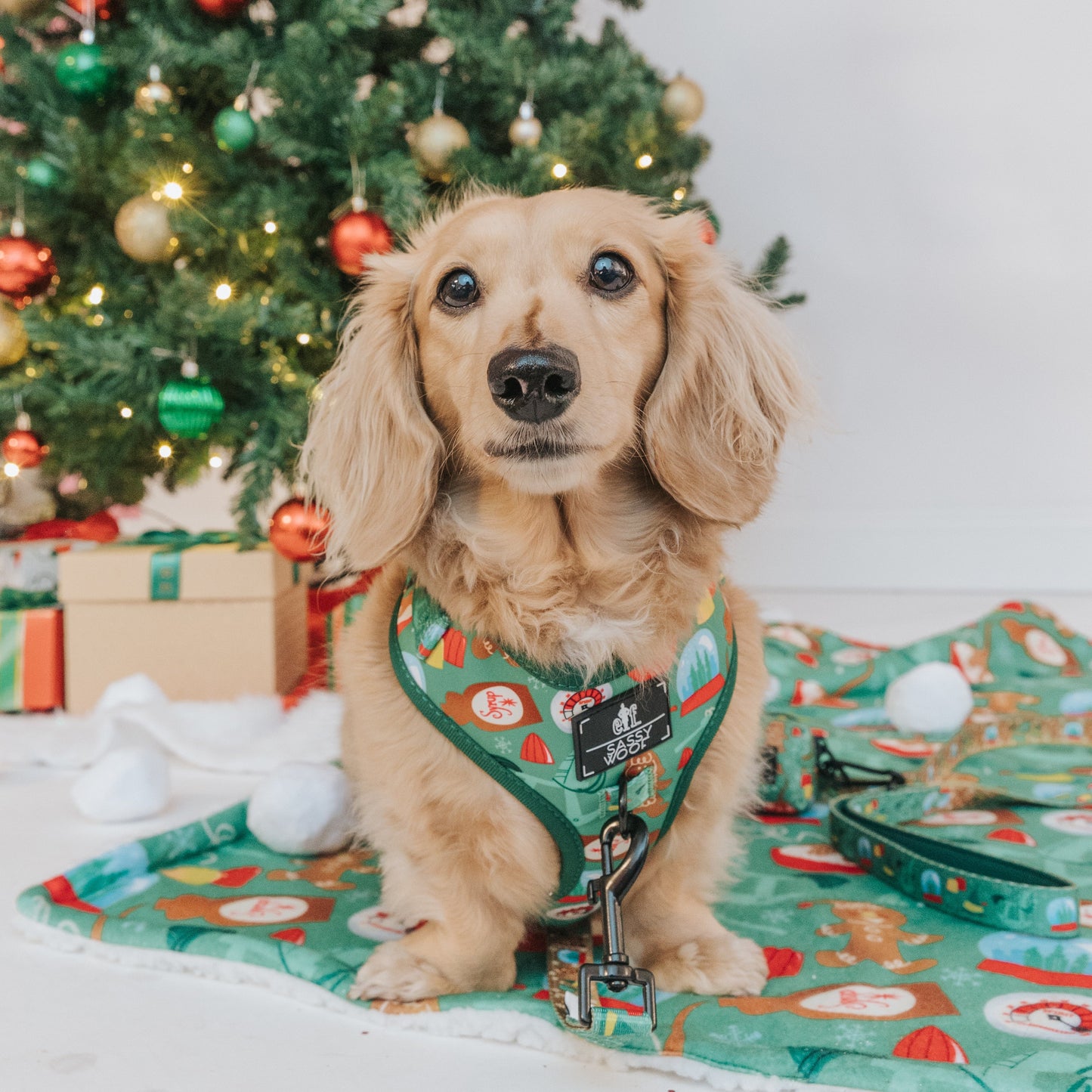 Dog Leash - Elf™