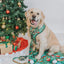 Dog Adjustable Harness - Elf™