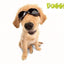 Doggles ILS Protective Dog Eyewear
