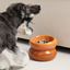 Soufflé Pet Bowl - Amber Orange