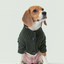 BERT CARDIGAN SWEATER - DARK GREEN