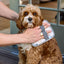 Pooches & Pups Pet Hair Remover