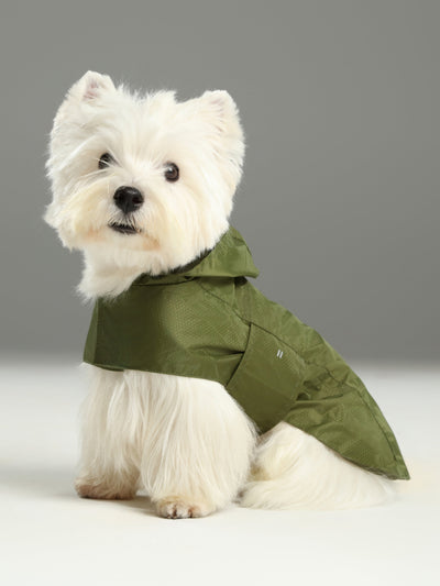 Capsule Raincoat - Green