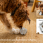 LAY LO Dog Enrichment Starter Bundle & Gift Box