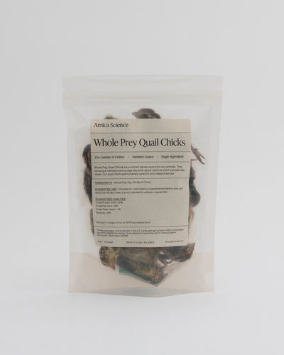 Whole Prey Quail Chicks