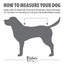 Jeffers Waterproof Breathe-Comfort 600D Ripstop Dog Blanket, 200 Gram