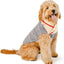 Spencer Dog Sweater