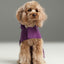 Capsule Raincoat - Purple