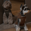 Reversible Dog Vest Jacket - Orange Grey