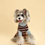 Bluebell Stripes Sweater