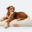 Brigette Romanek | Cream Dog Bed or Bed Cover