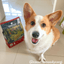 Viva La Venison Dry Dog Food