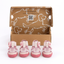The Kai- Dog Shoes