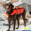 Adventure Dog Life Jacket