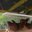Sweeter Heater Coop & Brooder Heater (4 sizes)