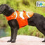 Fun Fish Dog Life Jacket