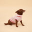 Pink Polka Dot Neckerchief