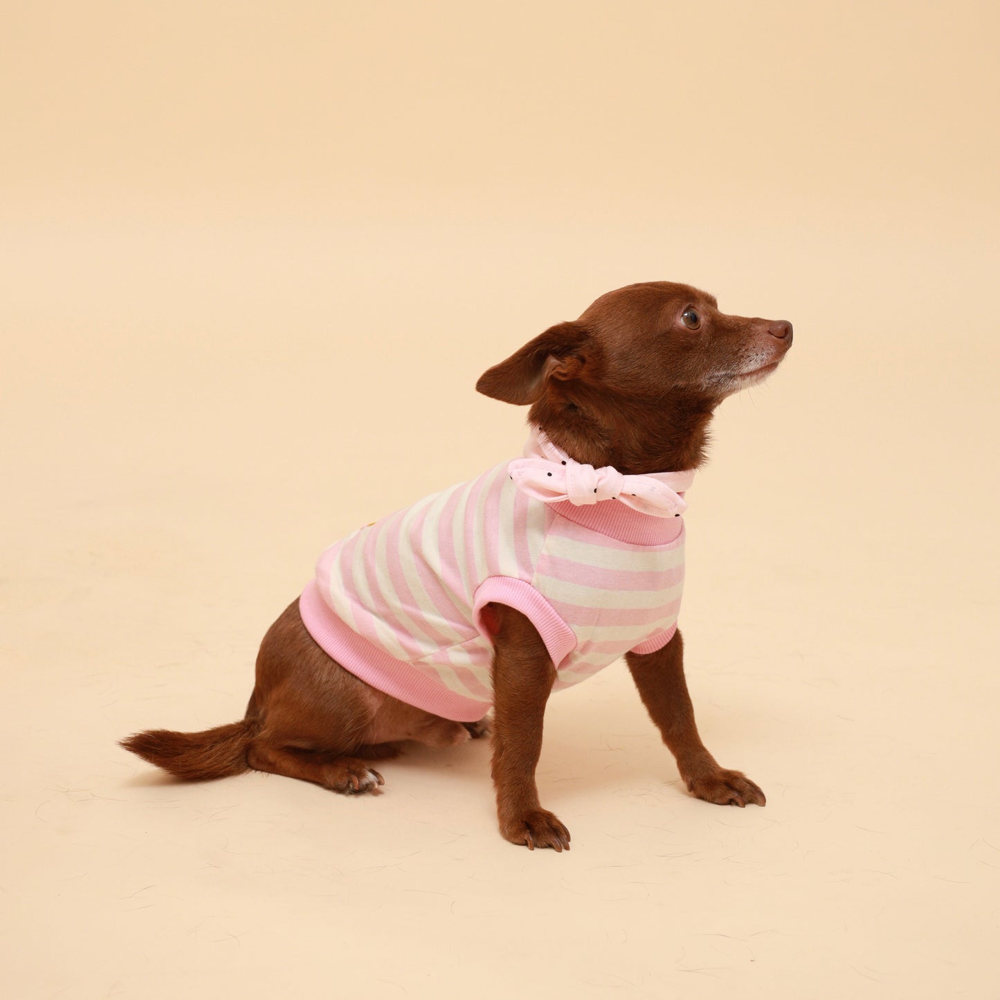 Pink Polka Dot Neckerchief