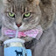 Kitty Cup Cat Tumbler Toy with Catnip & Crinkle Paper- Ideal Cat Birthday Gift