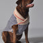 Spencer Dog Sweater