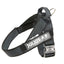 Julius-K9 IDC® Color & Gray®  Belt Harness