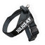 Julius-K9 IDC® Color & Gray®  Belt Harness
