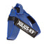 Julius-K9 IDC® Color & Gray®  Belt Harness