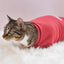 Fur Elise Spoiled Mock Neck Shirt - Lucky