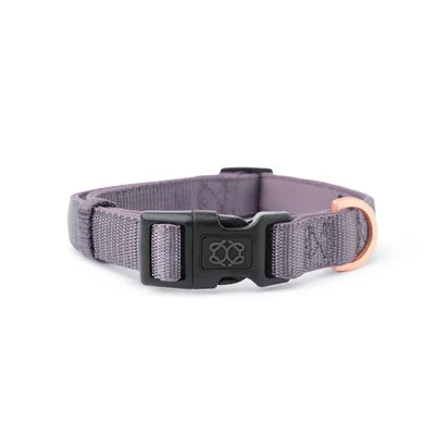 SoHo Complete Dog Walking Set - Lilac Gray