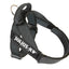 Julius-K9 IDC® Color & Gray®  Belt Harness