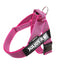 Julius-K9 IDC® Color & Gray®  Belt Harness