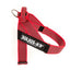 Julius-K9 IDC® Color & Gray®  Belt Harness